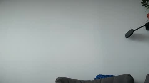 Lupine online show from 06.06.26