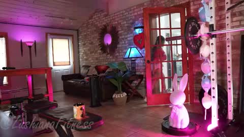 SHOWS ALL MONDAY WEDNESDAYFRIDAYSATURDAY  IN THE MORNING online show from 03.26.26