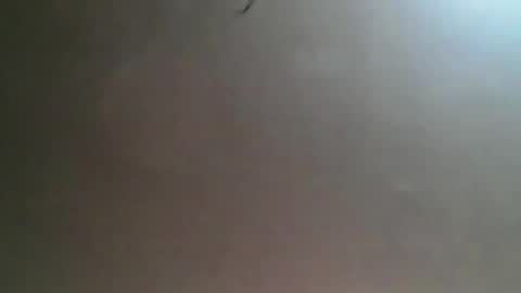 Bee Bee online show from 03.25.26