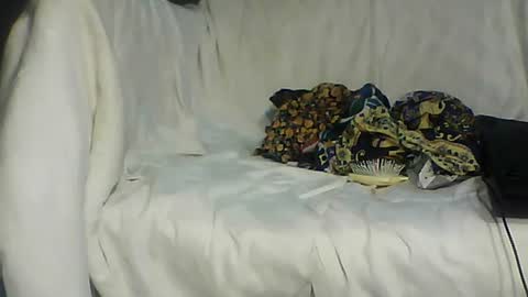 Bee Bee online show from 06.16.26