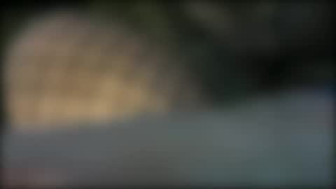 Lydia online show from 01.07.26