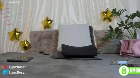 Snapshot of lynxrosen chatting on 01.17.25 Lynx Rosen online show from 01.17.25