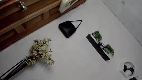 Janelovesu online show from 12.16.25