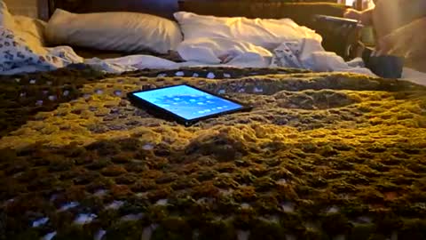 MARCUSNYX online show from 04.06.26