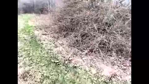 Snapshot of ma747047 chatting on 04.06.26 ma747047 online show from 04.06.26