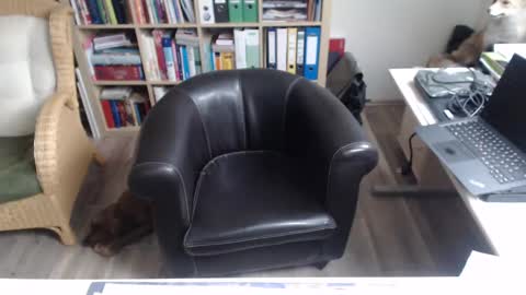 Snapshot of maddmax8 chatting on 12.12.24 Mad4You online show from 12.12.24