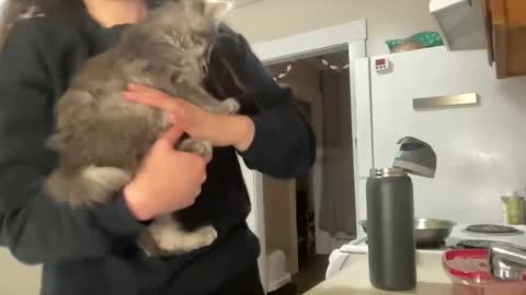 maddyhasyummypussy online show from 12.15.25