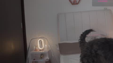 Valentina   1030   530  -  online show from 02.14.26