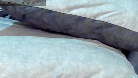   online show from 02.08.25