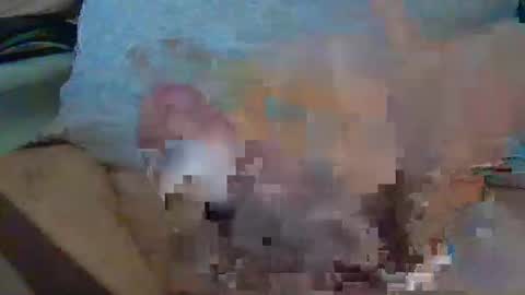 Max online show from 12.16.25