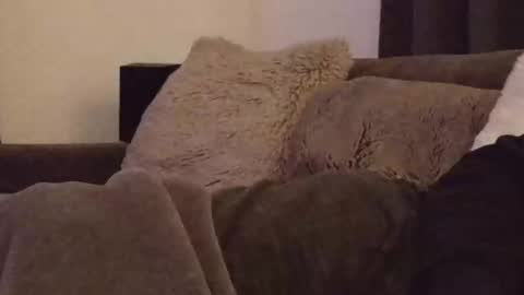 Snapshot of magic_passionitaliano chatting on 03.03.26 magic_passionitaliano online show from 03.03.26