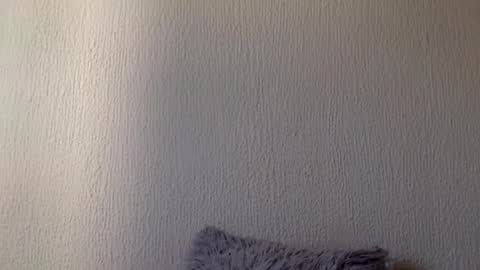 majo_gomezz online show from 03.20.26