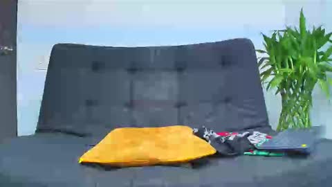 Malcom online show from 02.06.26