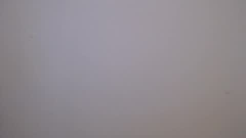 maluma4you online show from 04.06.26