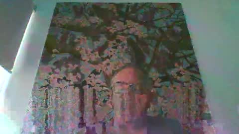 Snapshot of mambow99 chatting on 04.04.26 OLDMANFREE online show from 04.04.26