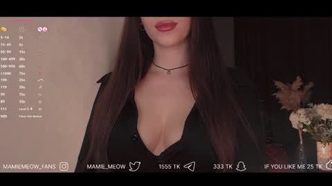 Snapshot of mamiemeow chatting on 01.29.25 Your Miss Alice online show from 01.29.25