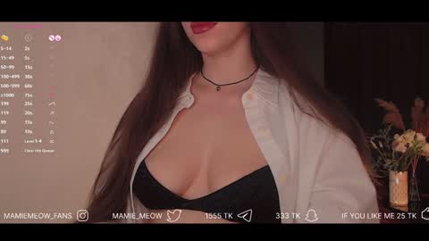 Snapshot of mamiemeow chatting on 02.03.25 Your Miss Alice online show from 02.03.25