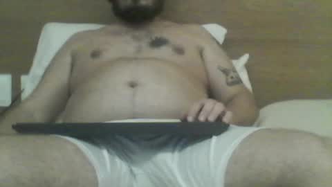 manatee bear online show from 12.22.25