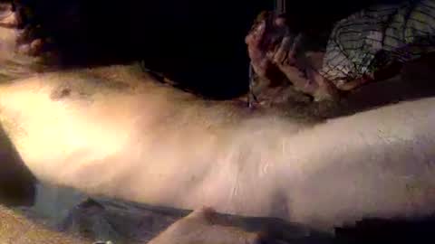 mandalay3 online show from 12.16.25