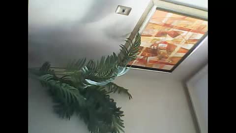 manu_481 online show from 03.07.25