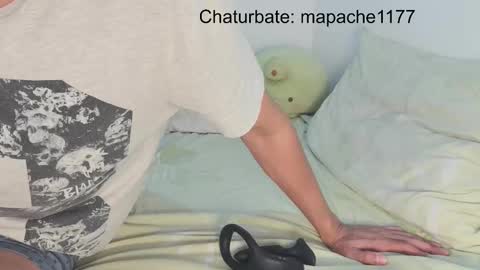 mapache1177 online show from 03.04.26