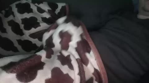 marek online show from 11.14.25