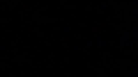 Elle online show from 10.20.25