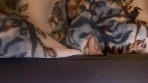 Elle online show from 11.23.25