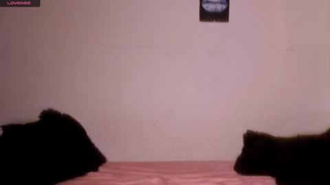 mariana williams online show from 01.31.25