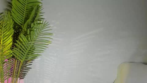 Masha online show from 11.08.25