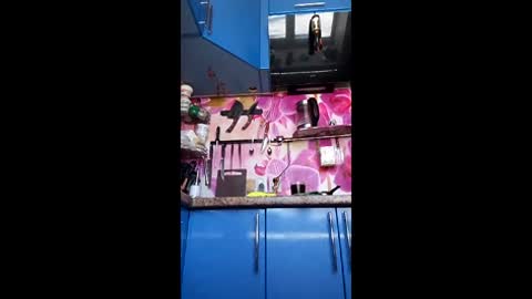 marinka_ online show from 02.22.26