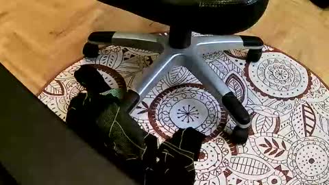 marcoxxl online show from 03.22.26