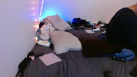 Snapshot of markymark515 chatting on 02.20.25 MarkyMark7169 online show from 02.20.25