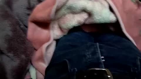 Snapshot of marocreda33 chatting on 03.11.25 marocreda33 online show from 03.11.25