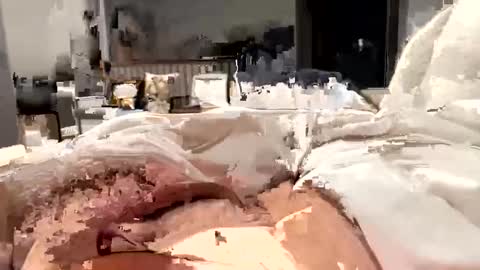 Snapshot of marriedthickdick37 chatting on 02.12.25 marriedthickdick37 online show from 02.12.25