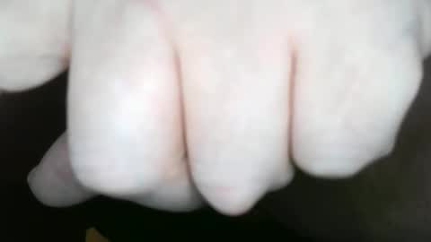 Dogfish online show from 03.19.26