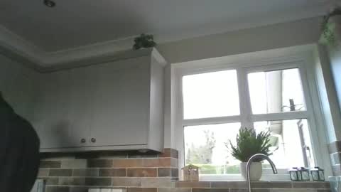 Snapshot of martinrgbxxxx chatting on 12.15.24 martinrgbxxxx online show from 12.15.24