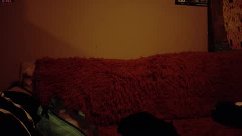     online show from 03.08.26