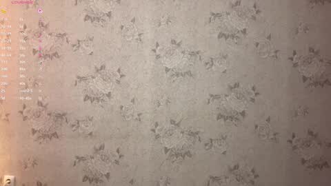 Snapshot of maryellensiewert chatting on 02.17.26 Stephie online show from 02.17.26