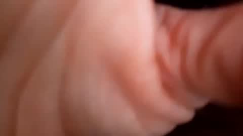 Maryland Man online show from 12.09.24