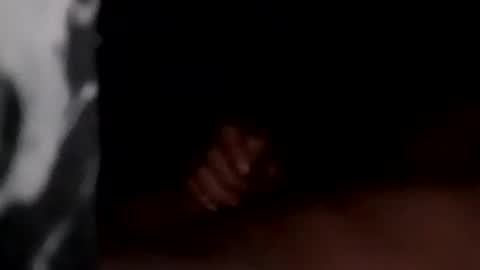 Maryland Man online show from 12.20.24