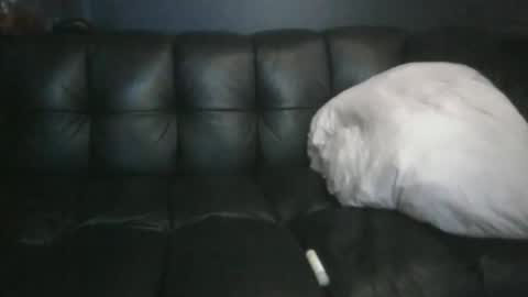 Masc39 online show from 04.12.26