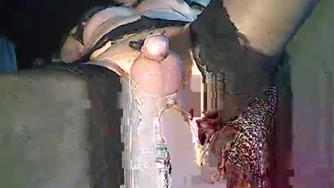 maschpro online show from 12.26.24