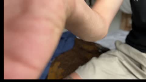 Mason online show from 01.31.25