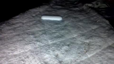 mauricescott online show from 02.03.26