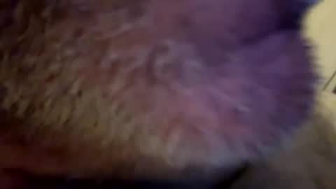 maverick7000 online show from 02.23.25