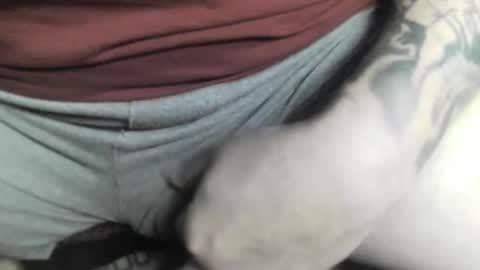 max_gv online show from 10.12.25