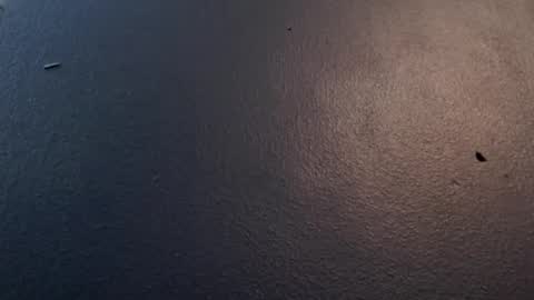 Max and Pam Voyeur Cam online show from 01.29.25