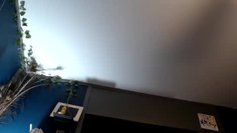 Max and Pam Voyeur Cam online show from 02.16.25