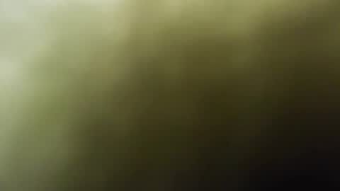 Snapshot of maylee_x chatting on 02.15.25 maylee_x online show from 02.15.25